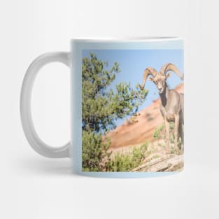 Zion Desert Bighorn Sheep Mug